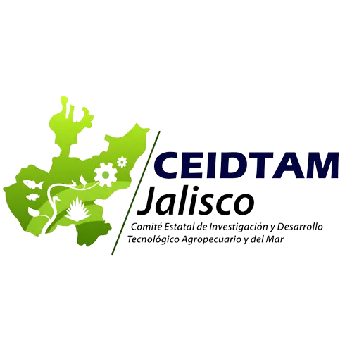 CEIDTAM green and blue logo